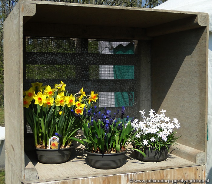 springfair19-05.jpg (195888 bytes)